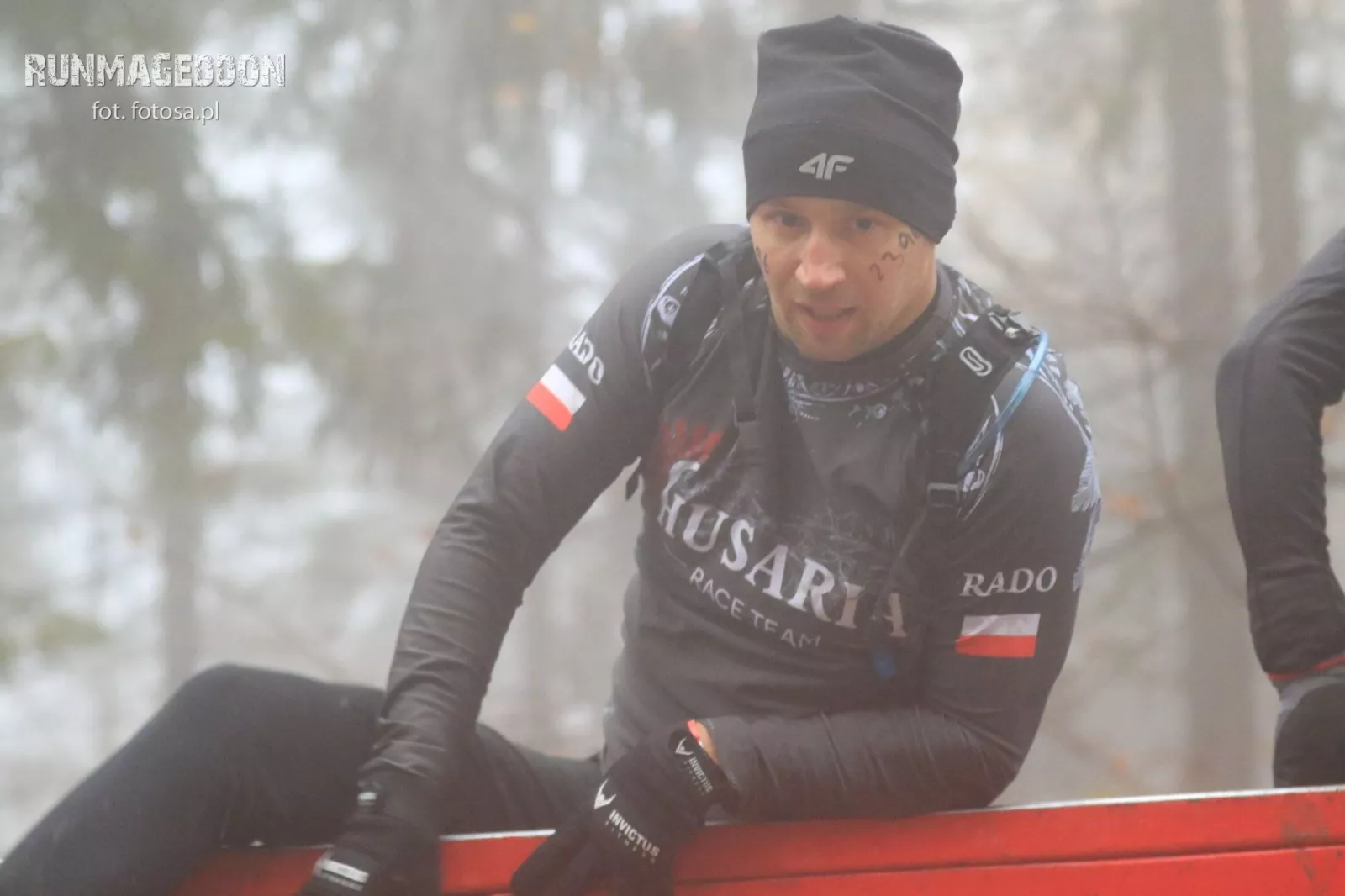 Zdjęcie charcika włoskiego