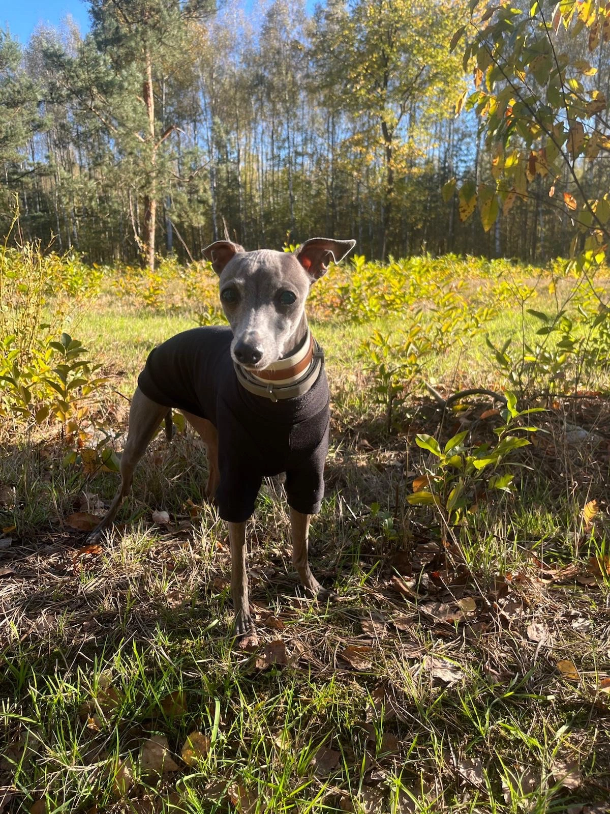 PHOTO-2025-05-28-19-48-37_2.webp